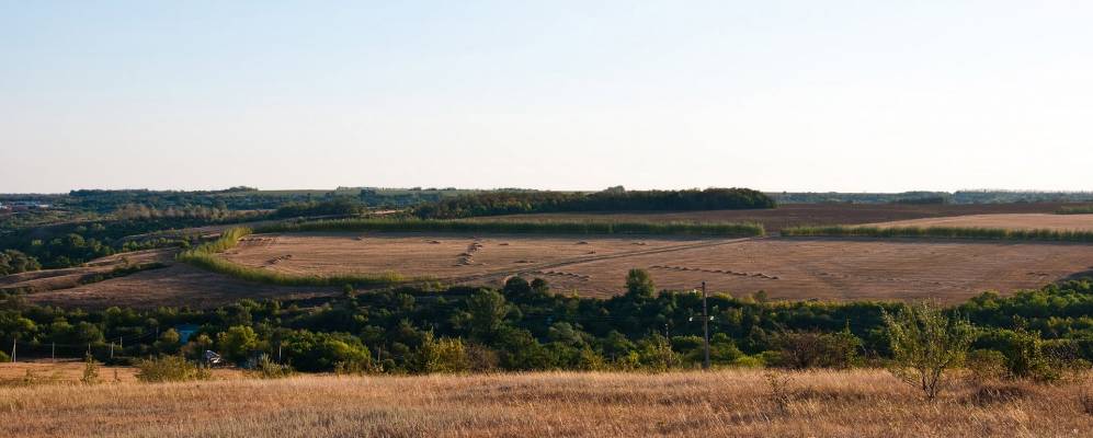 Фотография Безымянного