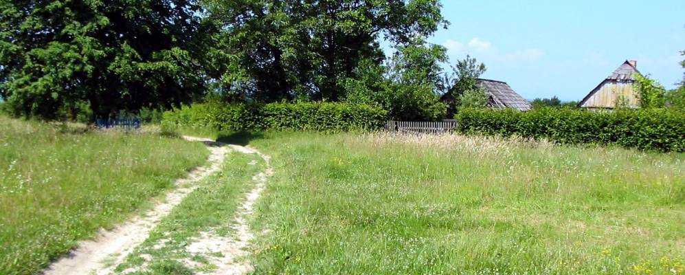 
            Фотография Дибровки