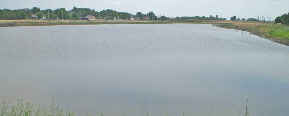 Фотография Цветково