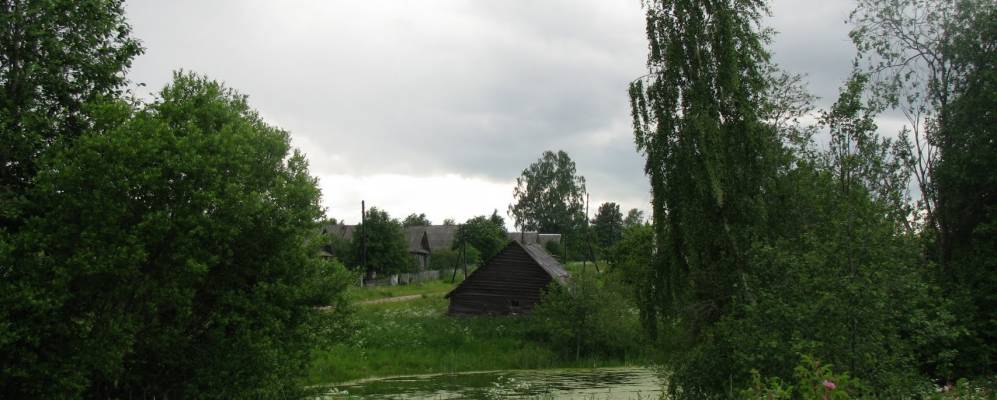 
            Фотография Новой Дубровки