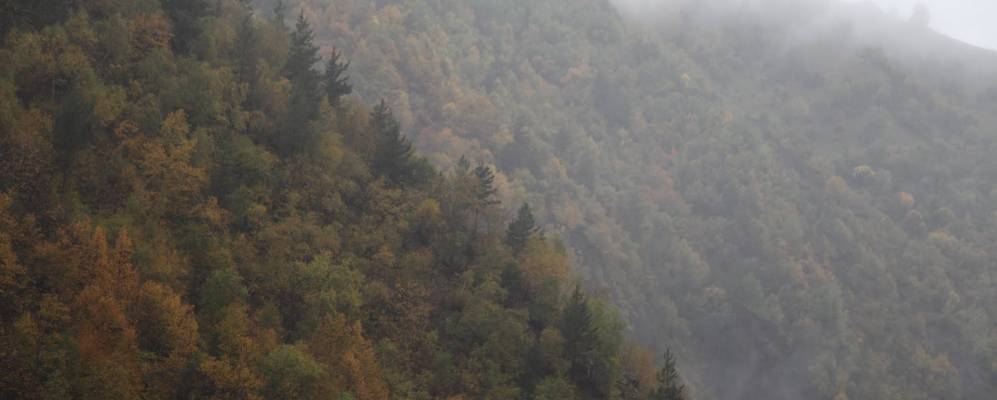 
            Фотография Чороды