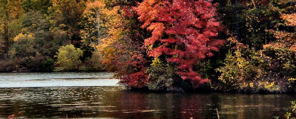 
            Фотография Нью Фрэнклина