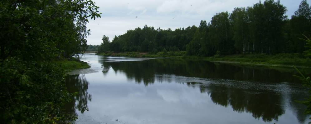 
            Фотография Березняка