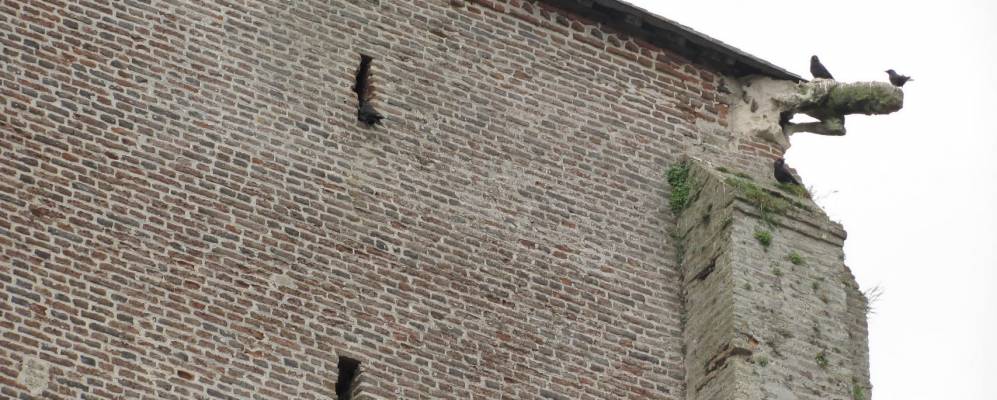 
            Фотография Вертона