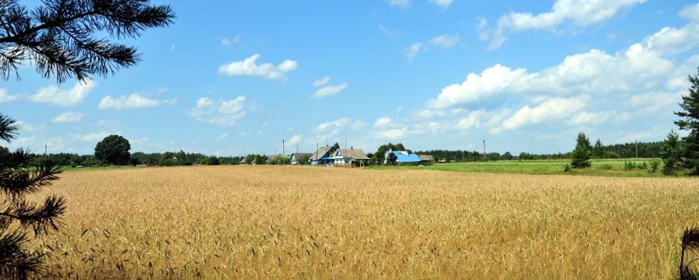 
            Фотография деревни Осовы