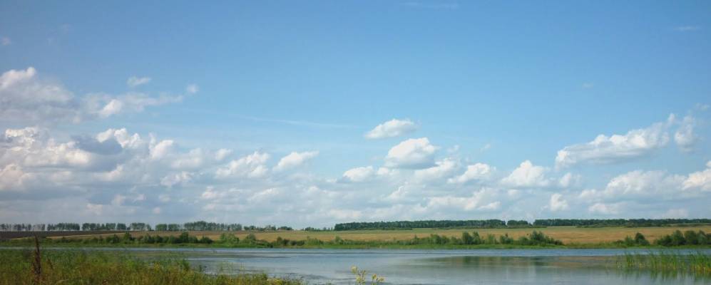 
            Фотография Петровки