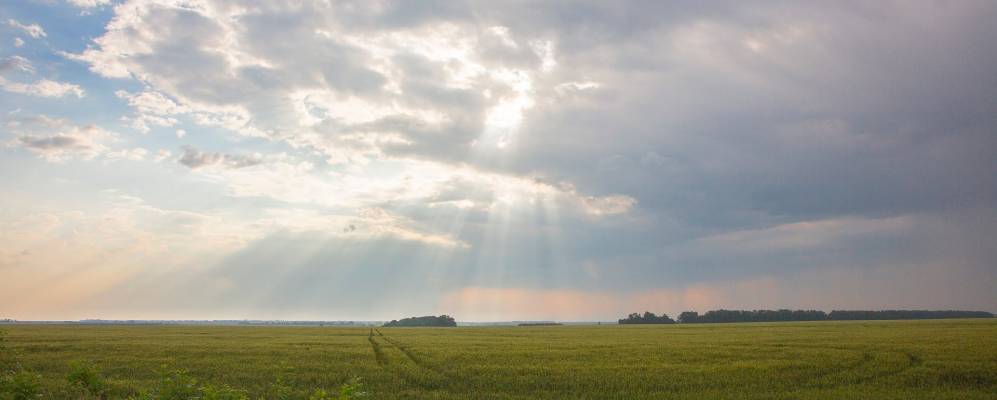 Фотография Сухой