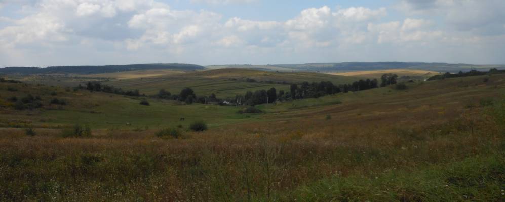 
            Фотография Мистичи