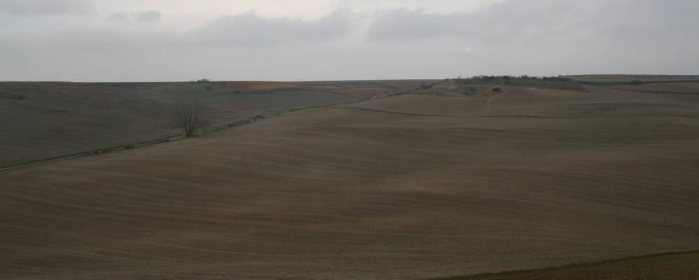 
            Фотография Дагансо-де-Арриба