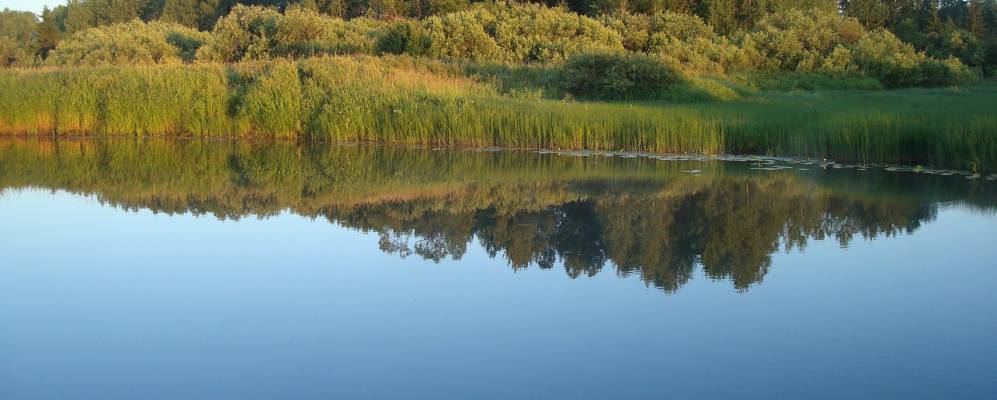 
            Фотография Бабкино