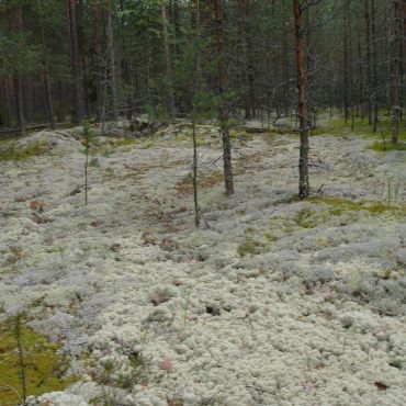 Имени Ленина