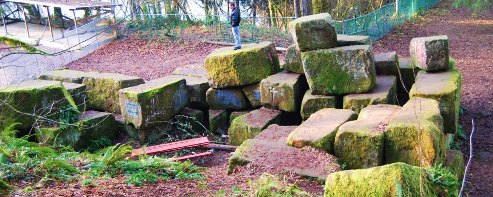 
            Фотография Тенино