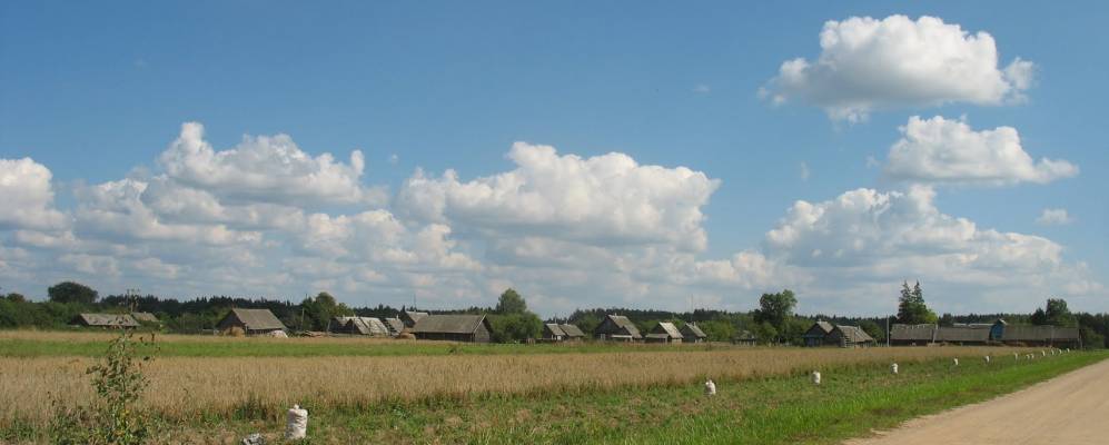 
            Фотография Победителя