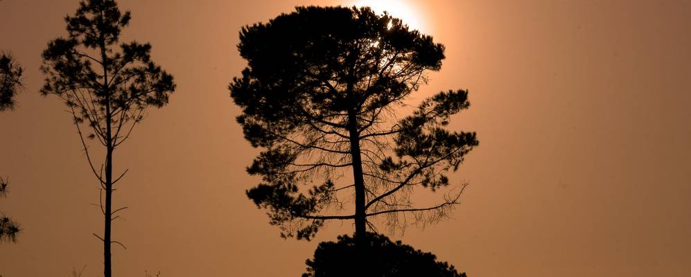 
            Фотография Оуренсе