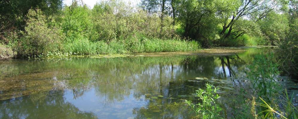 
            Фотография Байгаров