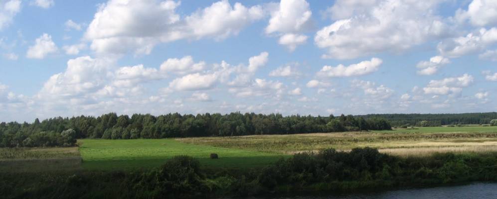 
            Фотография Бураково