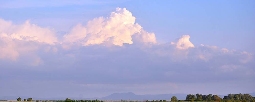 
            Фотография Подлесного