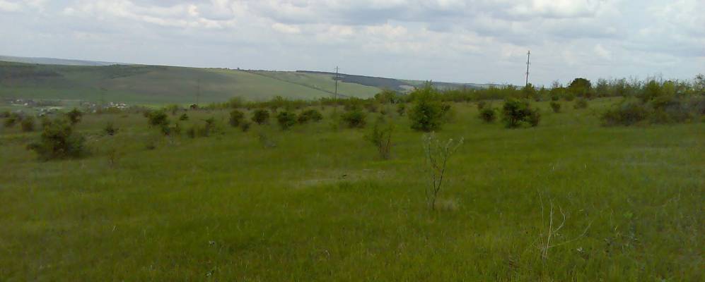 
            Фотография Стояново