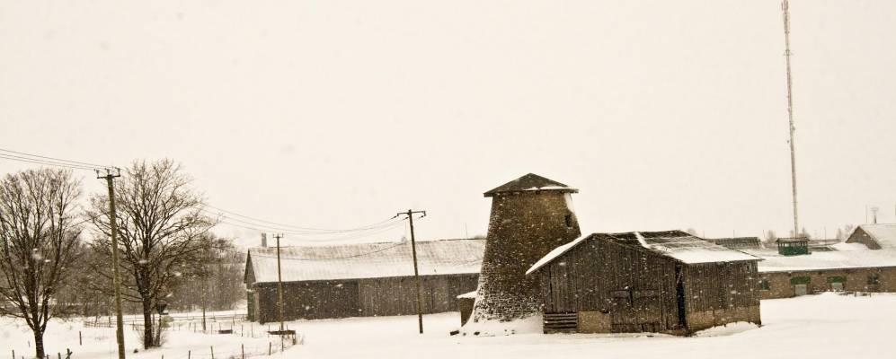 
            Фотография Аравете