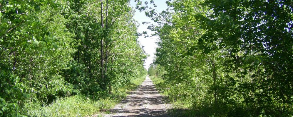 
            Фотография Согин Шорса