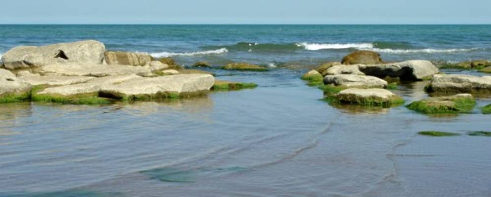 Фотография Горадила