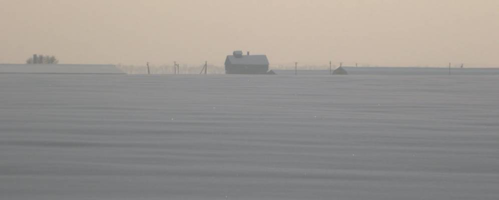 
            Фотография Свистуновки