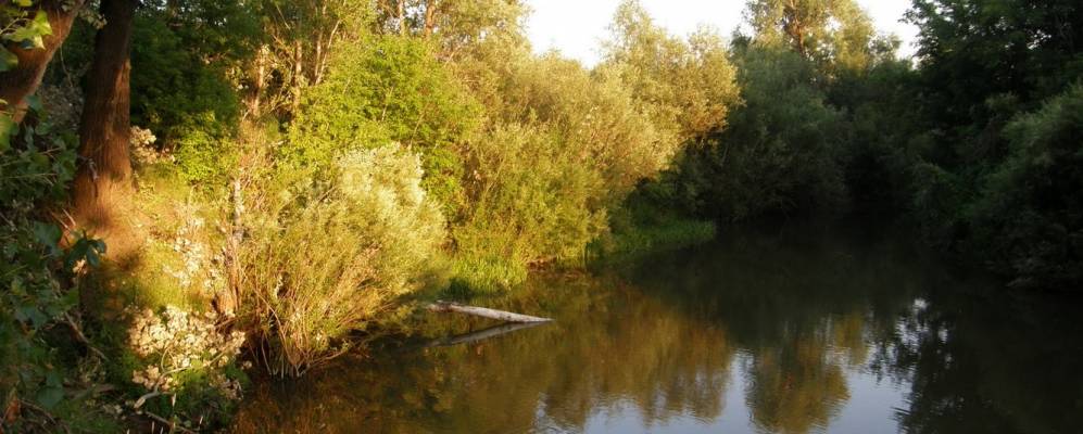 Фотография Мамяково