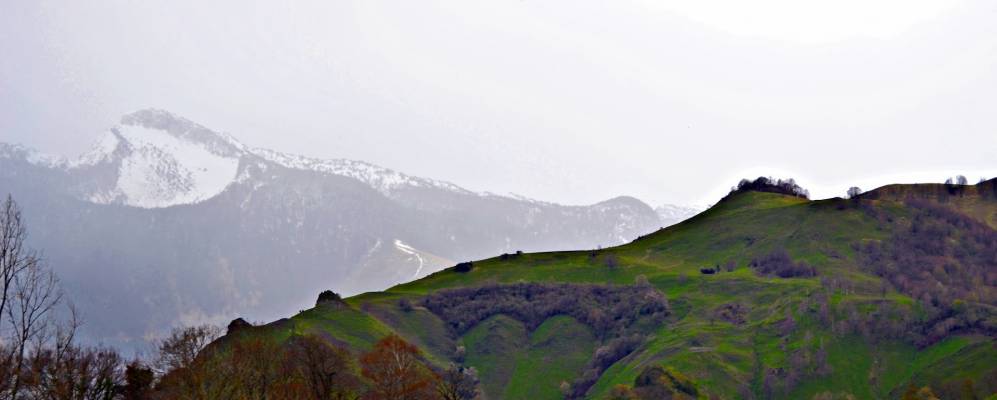 
            Фотография Аку