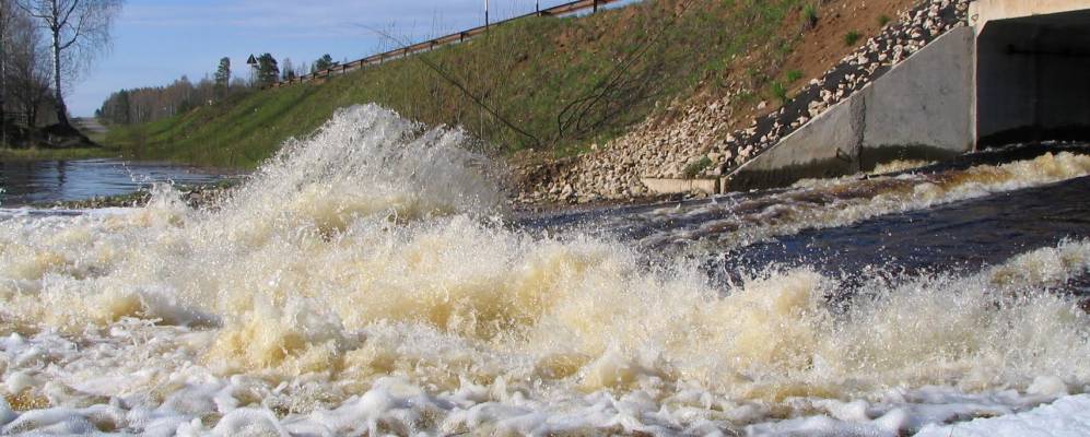 
            Фотография Осиновки