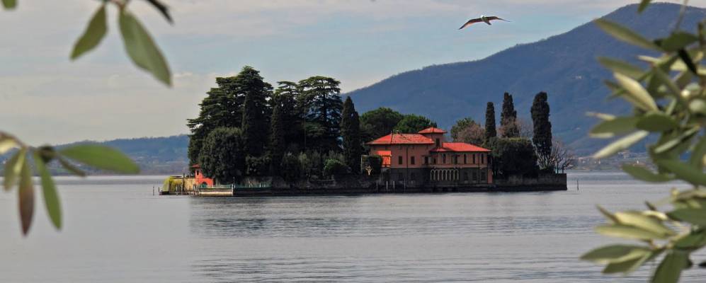 Фотография Куре