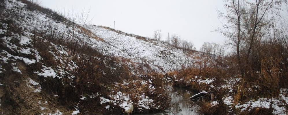 
            Фотография Ошняк-Качкалака