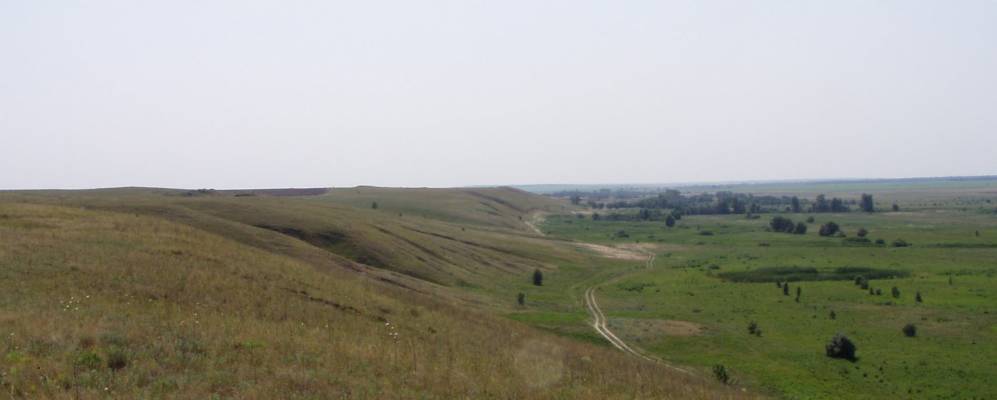 
            Фотография Захарова