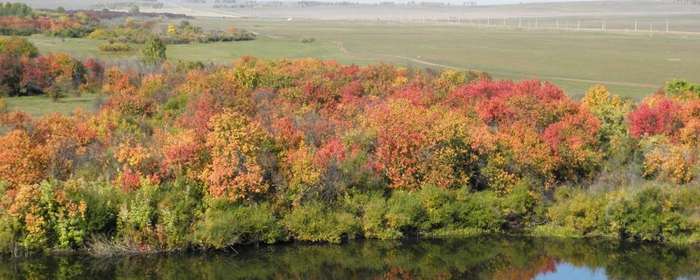 
            Фотография Бирюковского