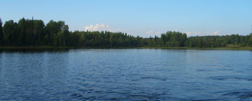 
            Фотография Островенка