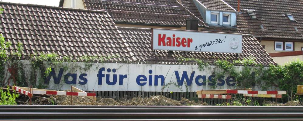 
            Фотография Залаха