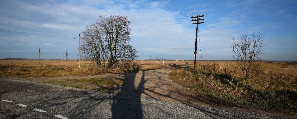 
            Фотография Раздольного