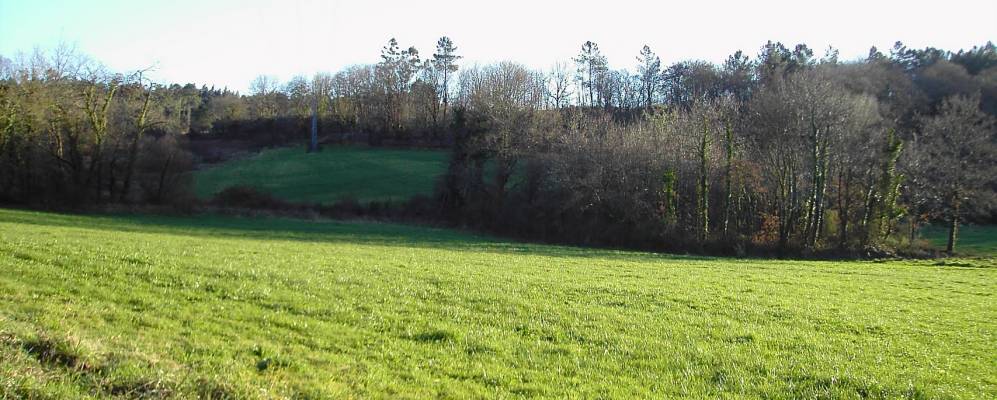 
            Фотография Трасо