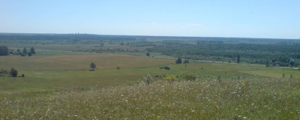 Фотография Горбатицы