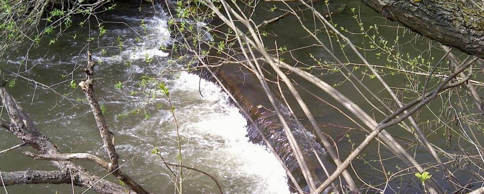 
            Фотография Красного Куста