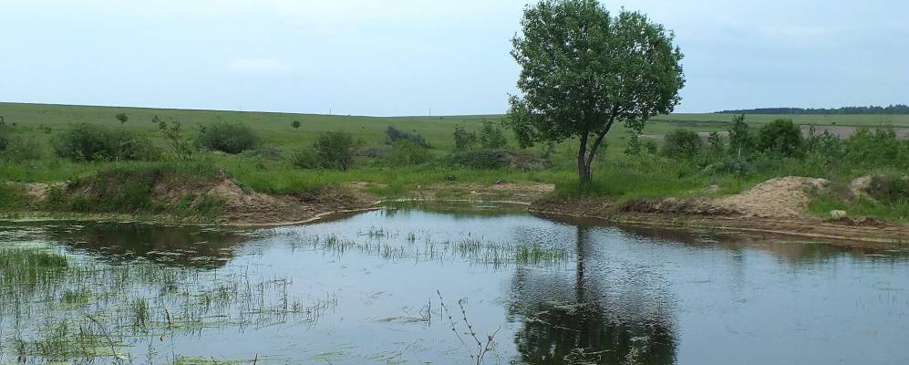 
            Фотография Хвощево