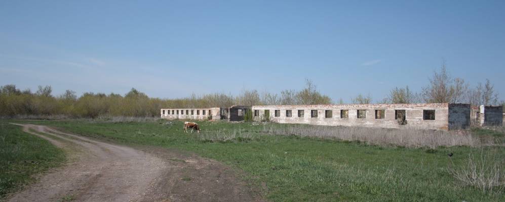 
            Фотография Тройного