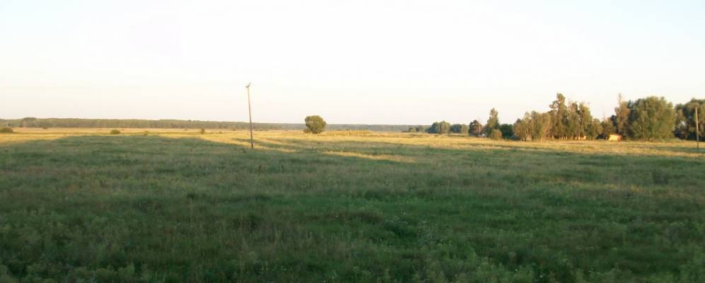 
            Фотография Волынки