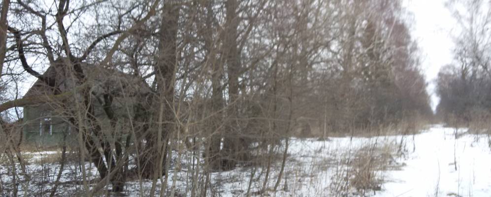 
            Фотография деревни Русаны