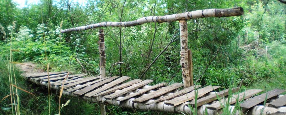 
            Фотография Беково