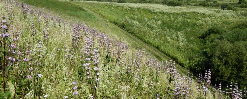 
            Фотография Чигиря