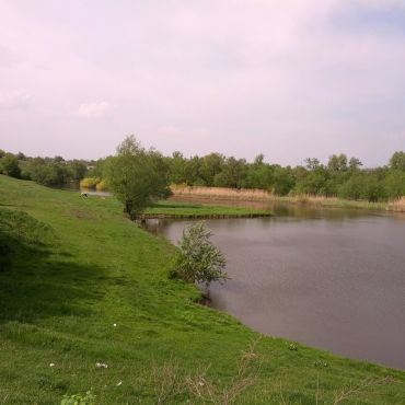 Перегоновка