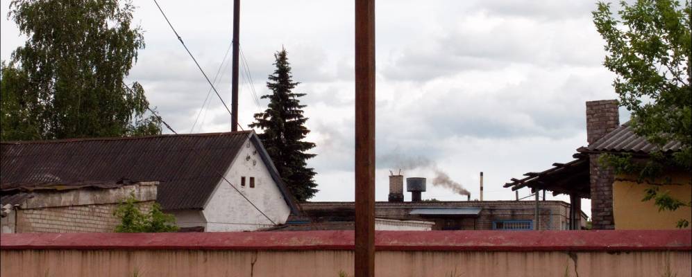 
            Фотография Воли