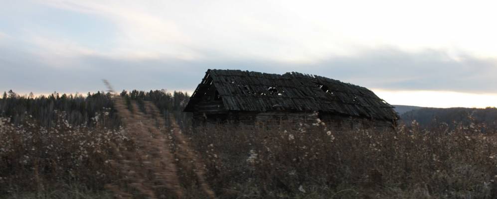 Фотография Голубевки