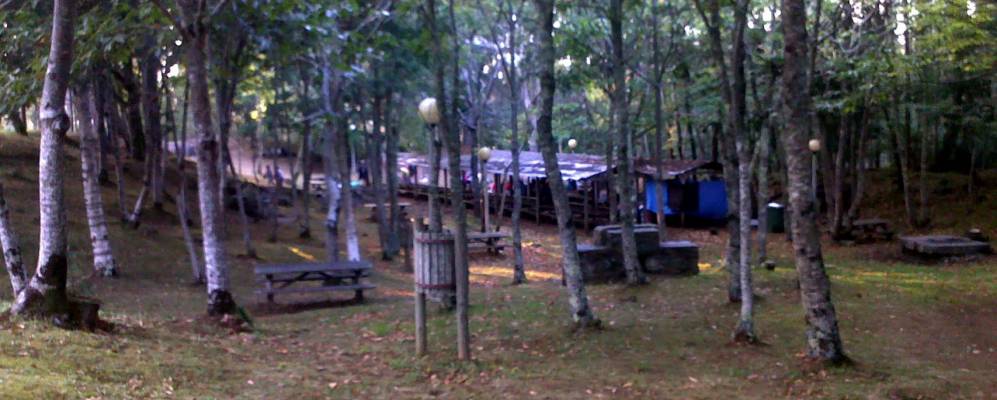 
            Фотография Сердидо