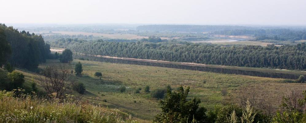 
            Фотография Ботулино